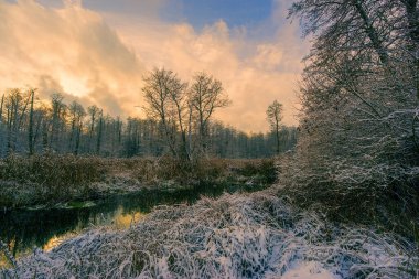 Supral Nehri 'nde Kış, Knyszyska Ormanı, Podlasie
