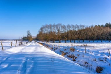 Narew Vadisi, Podlasie, Polonya 'da güneşli ve soğuk bir kış günü
