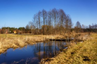 Ağaçlı ve göllü bahar manzarası