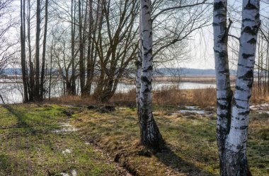 Bahar manzara kırsal kesimde.