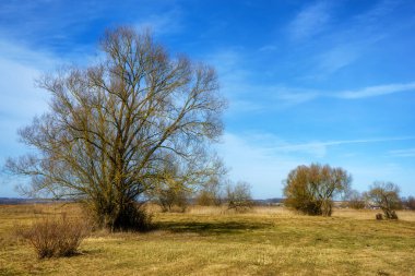 Podlaskie Safari - Narew Ulusal Parkı, Polonya