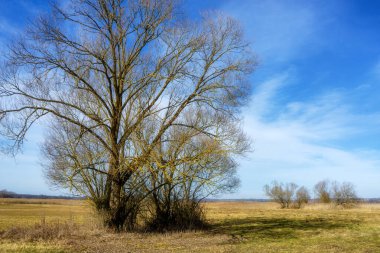 Podlaskie Safari - Narew Ulusal Parkı, Polonya