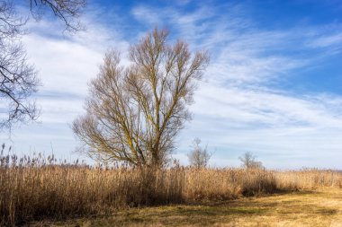 Podlaskie Safari - Narew Ulusal Parkı, Polonya