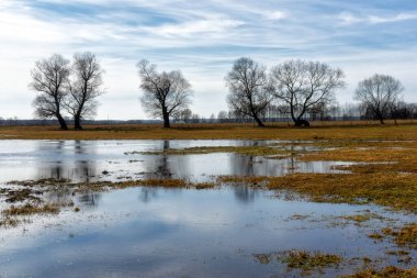 Podlaskie Safari - Narew Ulusal Parkı, Polonya