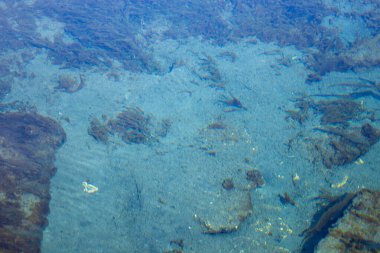 Su yüzeyi, mavi göl, Zyangyear Kul. Rusya 'da doğa manzarası, Bashkortostan Cumhuriyeti.