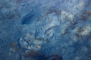 Su yüzeyi, mavi göl, Zyangyear Kul. Rusya 'da doğa manzarası, Bashkortostan Cumhuriyeti.