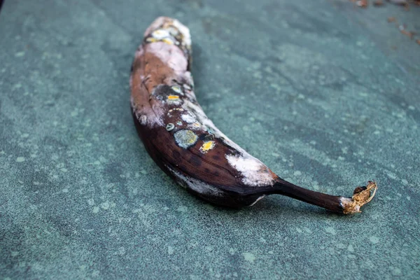 腐ったバナナ 大理石の背景にカビの果実 — ストック写真
