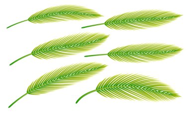 Aydınlık arka planda avuç içi yaprakları var. Koleksiyon vektör illüstrasyonu Eps 10.