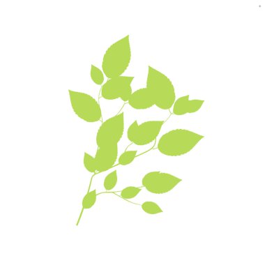 Yeşil Şube, Beyaz Arkaplan Vektör İllüstrasyonunda İzole Edildi