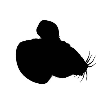 Fare siyahı siluet, baskın. Hafif arkaplanda kabarık bir illüstrasyon var. Tasarımcılar ve dekorasyon için sevimli, izole bir kemirgen karakteri. EPS 10.