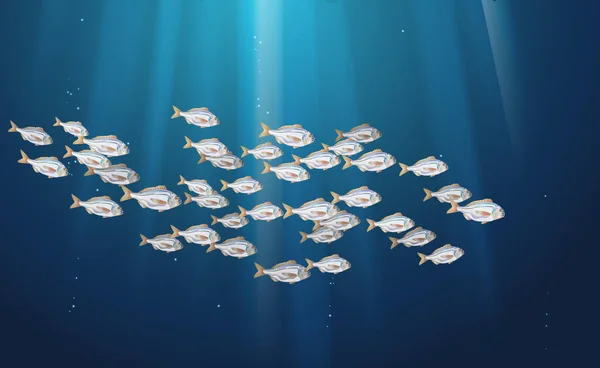 Dorado Rybaří Modrém Pozadí Mořský Život Školách Atlantické Hejno Ryb — Stockový vektor