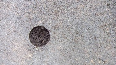 Laboratuvarda örnek incelemesi için asfalt kesimi. Toprağı dışarıdan görebildiğinde, büyük katmanlar halinde çekirdek örnekleme..