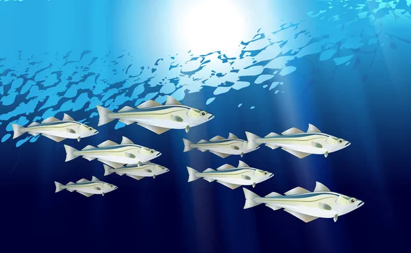 Pollock Escola Fundo Azul Peixes Rebanho Peixes Atlântico Alasca Vida — Vetor de Stock