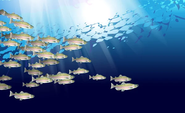 School of pink salmon fish. Marine life. Vector illustration optimized from to be used in background design, decoration. — Stock Illustration School Pink Salmon Fish Marine Life Vector Illustration Optimized Used Vector Graphics