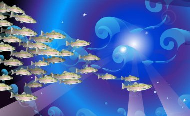 Pembe somon balığı sürüsü. Deniz hayatı. Arkaplan tasarımı ve dekorasyonunda kullanılacak olan vektör illüstrasyonu optimize edildi.