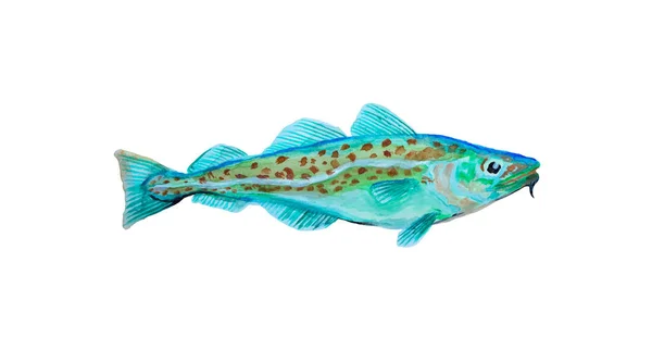 Watercolor Painting Codfish Cod Atlantic Vector Illustration Details Optimized Specks — Stock Vector