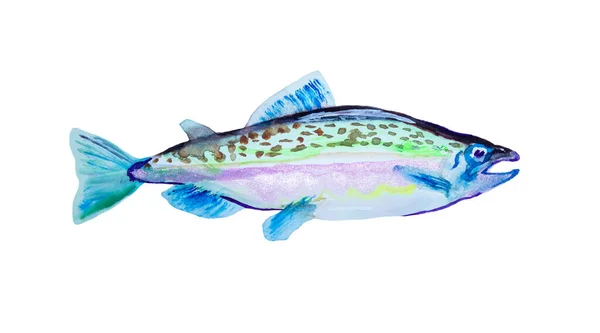 Watercolor painting pink salmon fish. Humpback atlantic, vector illustration with details and optimized specks to be used in packaging design, decoration, educational graphics, etc. — Stock Illustration Watercolor Painting Pink Salmon Fish Humpback Atlantic Vector Illustration Details Royalty Free Stock Illustrations