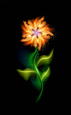 Modern çiçek portakalı parlıyor. Siyah arka planda renkli süs çiçekleri. Tasarımınız için dekoratif lüks ışıltılı güzel moda aydınlatma süslemeleri EPS 10