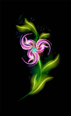 Renkli, parlayan pembe çiçek. Siyah arka planda modern süslemeli çiçek bahçesi. Tasarımınız için dekoratif lüks parıltılarla aydınlatılmış güzel moda süsler. 10 saniye.