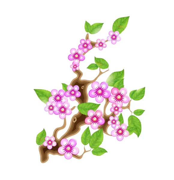 Branch Sakura Ilustração Vetorial Flor Cereja Com Flores Estilo Anime — Vetor de Stock