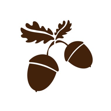 İki Meşe palamudu izole edildi. Sanat yaprakları ve meyveler. Logo, tasarım kavramları, arayüzler, uygulamalar veya reklam için vektör illüstrasyonu. Dekorasyon Bölüm 10.
