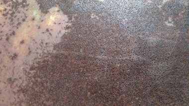 Paslı ve metal desenli arka plan. Gerçekçi russet örneği, şablon fon. Desenli illüstrasyon pankartı.