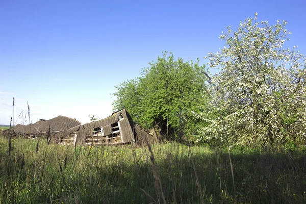 Livet går vidare. — Stockfoto