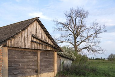 Bir gerçek - hayat devam ediyor bırakarak.