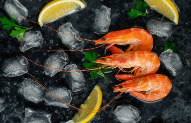 Arka planda buzlu taze karidesler. Üst görünüm