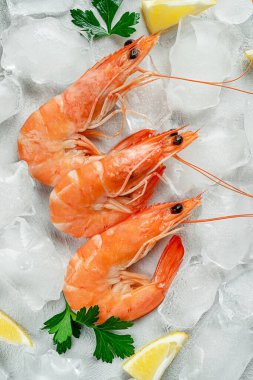 Sağlıklı beslenme. Buzlu taze kaplan karidesleri. İtalyan yemeği.