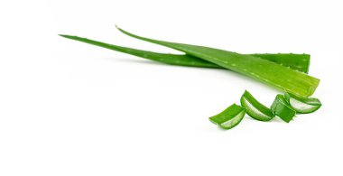 Aloe Vera ve kesilmiş yapraklar beyaz arka planda izole edilmiş. Boşluğu kopyala.