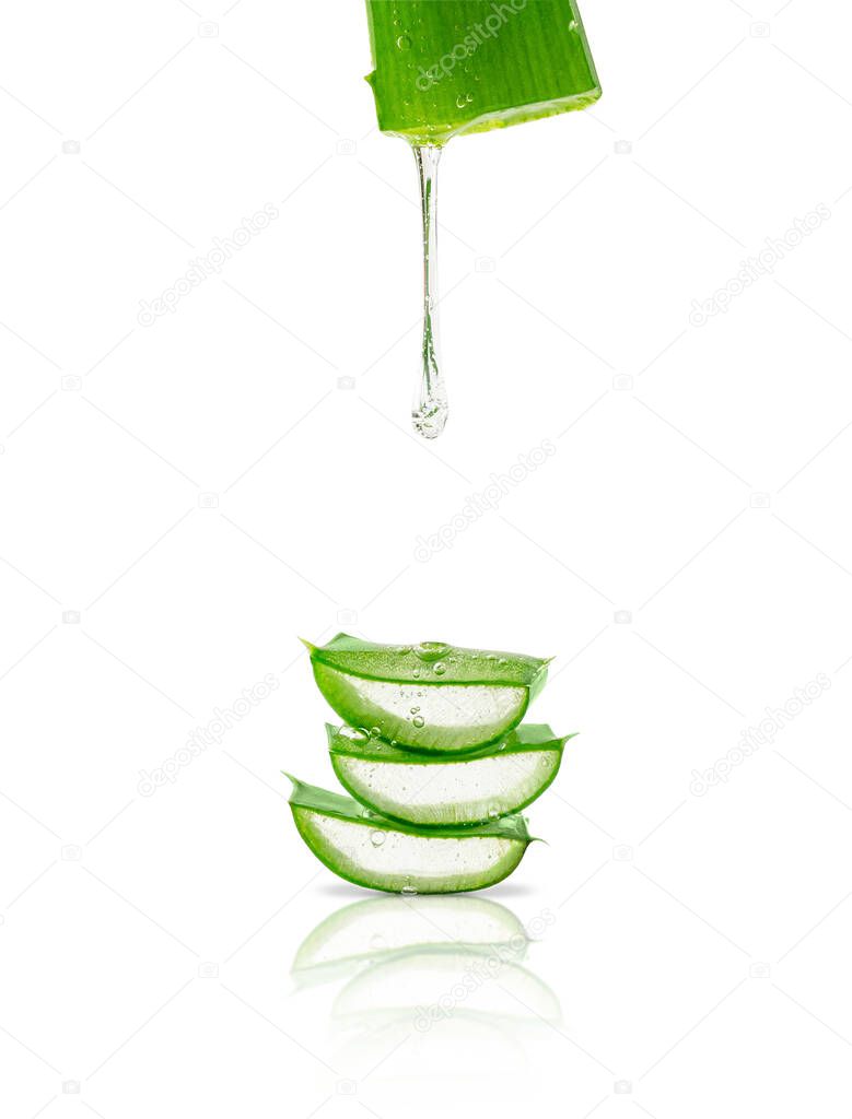 Aloe vera gel dripping over sliced leaves isolated on white background.