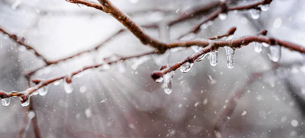 Fond Naturel Hiver Avec Chute Neige Lumière Soleil Espace Copie — Photo