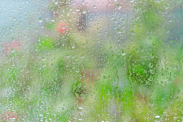 Våren Bakgrund Med Regn Droppar Fönstret Begreppet Naturlig Struktur — Stockfoto