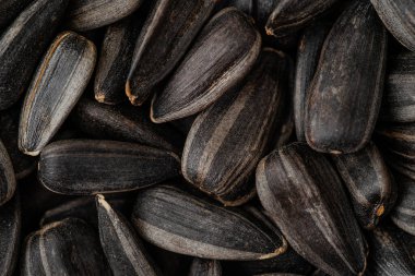 Siyah ayçiçeği arkaplanının makro çekimi. Üst görünüm, genel görünüm