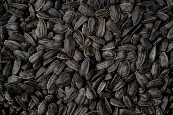 Black sunflower seeds background or texture. Top view, overhead