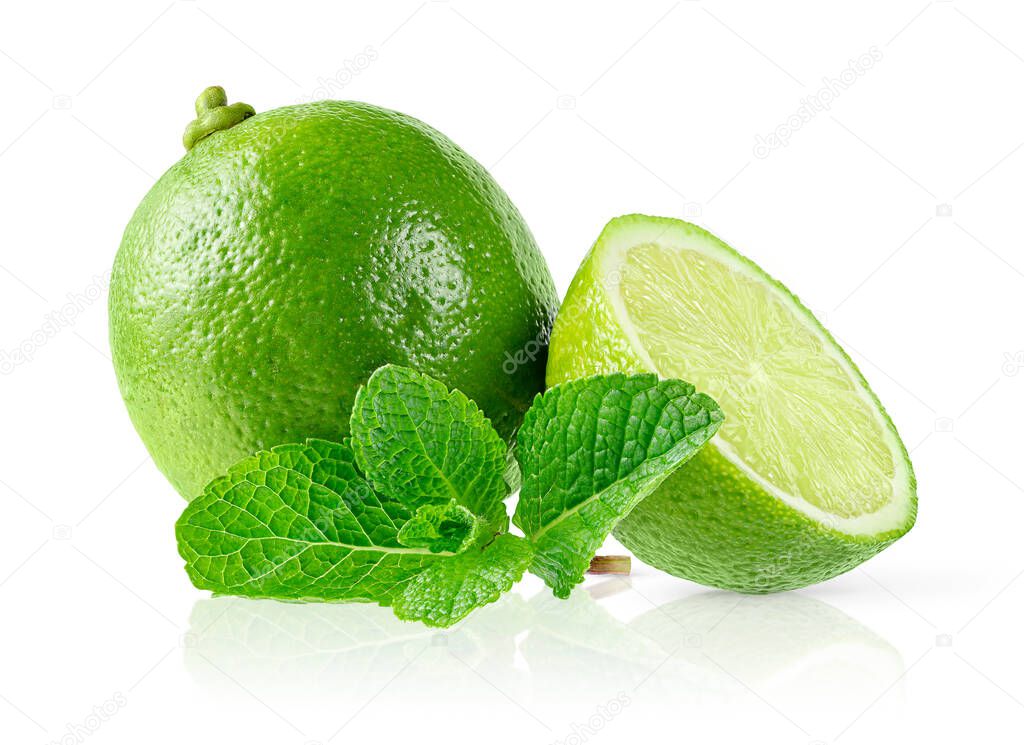 Lime and mint leaves isolated on white background. Front view