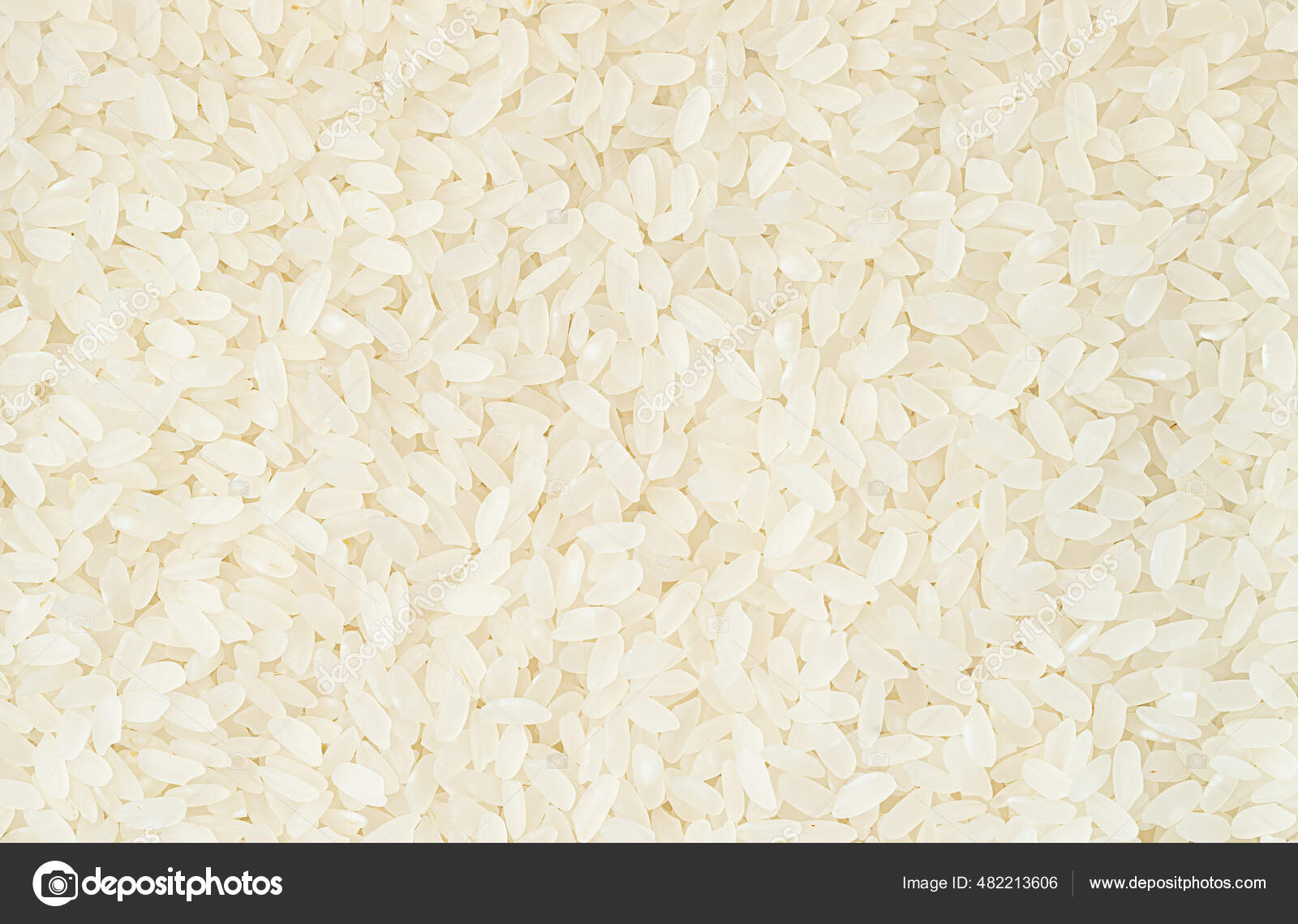 Short Grains Rice Texture Food Background Top View Overhead — Stock ...