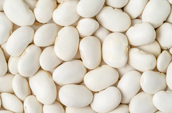 White Haricot Beans Background Top View Overhead — Stock Photo, Image