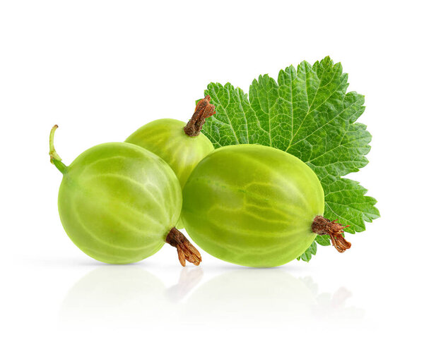 Composition of isolated gooseberries with leaf with clipping path on white background
