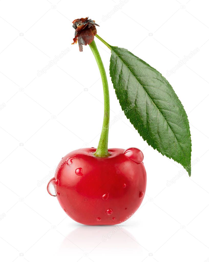 Red cherry with green leaf isolated on white background with clipping path.
