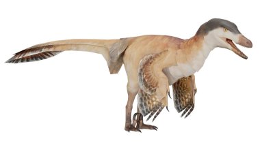  3D çizim velociraptor mongoliensis