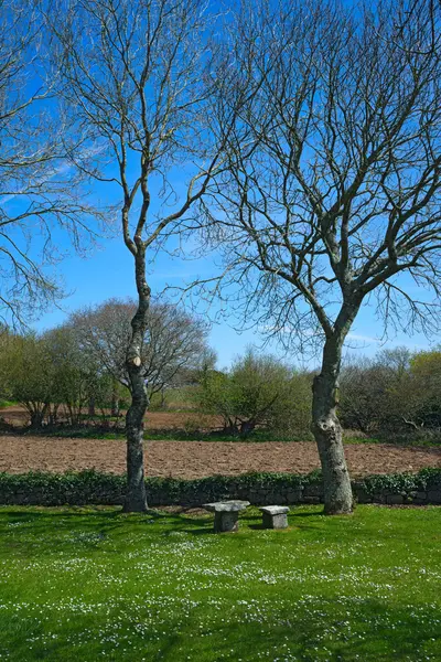 Steinbank und Tisch — Stockfoto