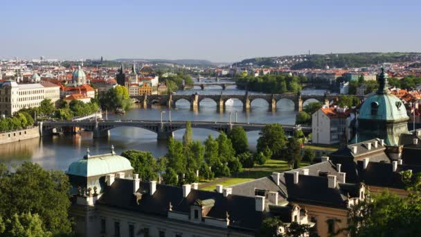 Ponte Carlos e Rio Vitava, Praga — Vídeo de Stock