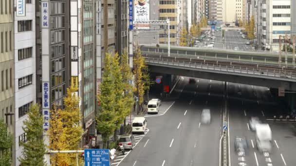 Chou-Dori sokak, Tokyo — Stok video