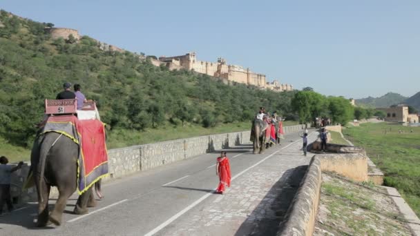 Słonie biorąc turystów do Amber Fort — Wideo stockowe