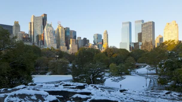 Central Park in de sneeuw, New York City — Stockvideo