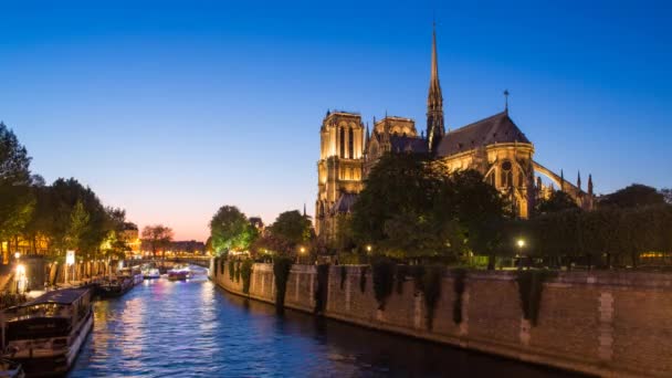 Katedra Notre Dame, Paryż — Wideo stockowe