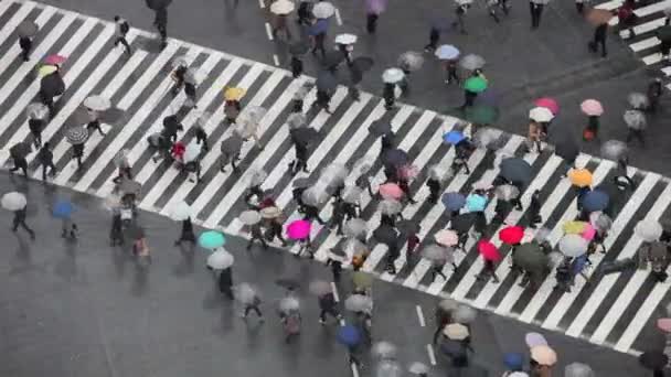 Ludzie przekraczania przejścia dla pieszych w centrum Tokio — Wideo stockowe