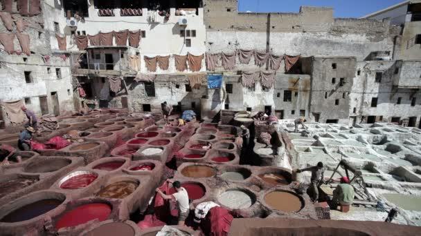 Chouwara tradiční kožených koželužny ve Fezu — Stock video